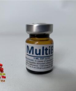 Thuốc Nuôi Gà Đá MultiB Bổ Sung Thành Phần VitaminB Tạo Hồng Huyết Cầu Tốt Cho Gà - 1 Chai 5ml chính hãng - Thuốc Gà Đá HCM
