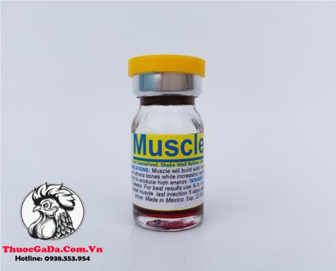 Thuoc-Nuoi-Ga-Da-Muscle-Cua-Mexico-Giup-Tang-Co-Tang-Can-Hieu-Qua-Chai-5ml Thuốc Nuôi Gà Đá Muscle Của Mexico Giúp Tăng Cơ, Tăng Cân Hiệu Quả - Chai 5ml chính hãng - Thuốc Gà Đá HCM