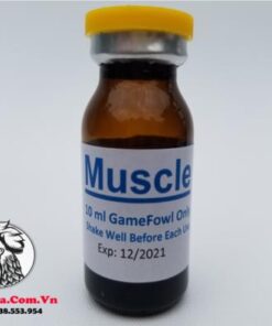 Thuốc Nuôi Gà Đá Muscle Của Mexico Giúp Tăng Cơ, Tăng Cân Hiệu Quả - Chai 10ml chính hãng - Thuốc Gà Đá HCM