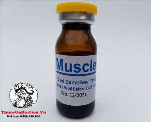 Thuoc-Nuoi-Ga-Da-Muscle-Cua-Mexico-Giup-Tang-Co-Tang-Can-Hieu-Qua-Chai-10ml Thuốc Nuôi Gà Đá Muscle Của Mexico Giúp Tăng Cơ, Tăng Cân Hiệu Quả - Chai 10ml chính hãng - Thuốc Gà Đá HCM