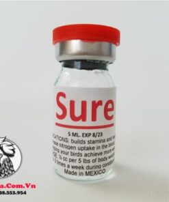 Thuốc Nuôi Gà Đá SURE Của Mexico Hỗ Trợ Chiến Kê Chống Mệt Mỏi, Tỉnh Táo Tinh Thần - Chai 5ml chính hãng - Thuốc Gà Đá HCM
