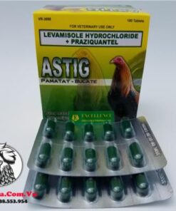 Thuốc Tẩy Giun ASTIG Chuyên Sổ Lãi Loại Bỏ Các Ký Sinh Gây Hại Cho Gà - 1 Vỉ 10 Viên chính hãng - Thuốc Gà Đá HCM