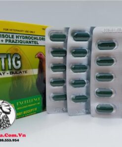 Thuốc Tẩy Giun ASTIG Chuyên Sổ Lãi Loại Bỏ Các Ký Sinh Gây Hại Cho Gà - 3 Vỉ x 10 Viên chính hãng - Thuốc Gà Đá HCM