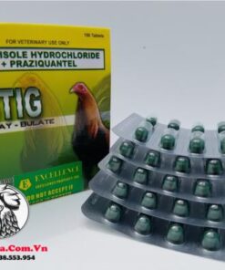 Thuốc Tẩy Giun ASTIG Chuyên Sổ Lãi Loại Bỏ Các Ký Sinh Gây Hại Cho Gà - 5 Vỉ x 10 Viên chính hãng - Thuốc Gà Đá HCM