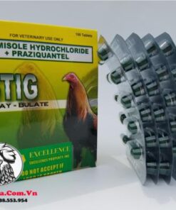Thuốc Tẩy Giun ASTIG Chuyên Sổ Lãi Loại Bỏ Các Ký Sinh Gây Hại Cho Gà - Hộp 100 Viên chính hãng - Thuốc Gà Đá HCM