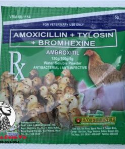Thuốc Trị Bệnh AMBROXITIL Của Phillipines - Chuyên Trị Bệnh Về Đường Hô Hấp Tốt Nhất Hiện Nay - 1 Gói 5g chính hãng - Thuốc Gà Đá HCM