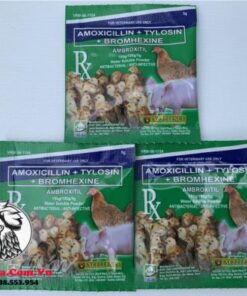 Thuốc Trị Bệnh AMBROXITIL Của Phillipines - Chuyên Trị Bệnh Về Đường Hô Hấp Tốt Nhất Hiện Nay - 3 Gói x 5g chính hãng - Thuốc Gà Đá HCM