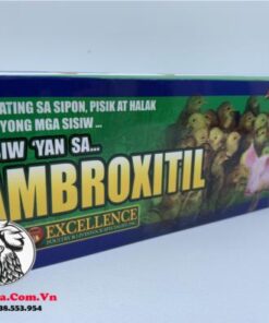 Thuốc Trị Bệnh AMBROXITIL Của Phillipines - Chuyên Trị Bệnh Về Đường Hô Hấp Tốt Nhất Hiện Nay - Hộp 48 Gói chính hãng - Thuốc Gà Đá HCM