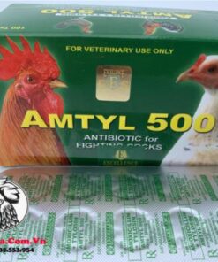 Thuốc Trị Bệnh Cho Gà AMTYL 500 Chuyên Trị Các Bệnh Về Đường Hô Hấp Cực Tốt - 1 Vỉ 10 Viên chính hãng - Thuốc Gà Đá HCM