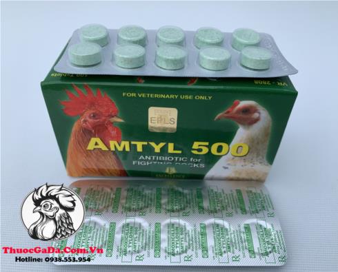 Thuoc-Tri-Benh-Cho-Ga-AMTYL-500-Chuyen-Tri-Cac-Benh-Ve-Duong-Ho-Hap-Cuc-Tot-2-Vi-x-10-Vien Thuốc Trị Bệnh Cho Gà AMTYL 500 Chuyên Trị Các Bệnh Về Đường Hô Hấp Cực Tốt - 2 Vỉ x 10 Viên chính hãng - Thuốc Gà Đá HCM