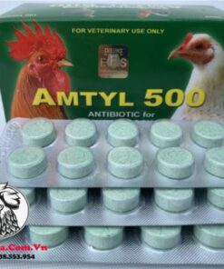 Thuốc Trị Bệnh Cho Gà AMTYL 500 Chuyên Trị Các Bệnh Về Đường Hô Hấp Cực Tốt - 3 Vỉ x 10 Viên chính hãng - Thuốc Gà Đá HCM