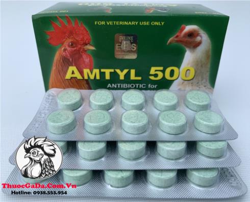Thuoc-Tri-Benh-Cho-Ga-AMTYL-500-Chuyen-Tri-Cac-Benh-Ve-Duong-Ho-Hap-Cuc-Tot-3-Vi-x-10-Vien Thuốc Trị Bệnh Cho Gà AMTYL 500 Chuyên Trị Các Bệnh Về Đường Hô Hấp Cực Tốt - 3 Vỉ x 10 Viên chính hãng - Thuốc Gà Đá HCM