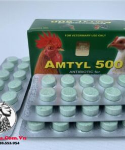 Thuốc Trị Bệnh Cho Gà AMTYL 500 Chuyên Trị Các Bệnh Về Đường Hô Hấp Cực Tốt - 5 Vỉ x 10 Viên chính hãng - Thuốc Gà Đá HCM