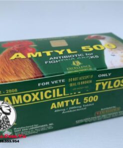 Thuốc Trị Bệnh Cho Gà AMTYL 500 Chuyên Trị Các Bệnh Về Đường Hô Hấp Cực Tốt - 1 Hộp 100 Viên chính hãng - Thuốc Gà Đá HCM