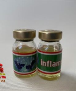 Thuốc Trị Tang Gà Đá INFLAME - Chuyên Trị Tang, Khò Khè Cực Tốt Ở Gà - 2Chai x 5ml chính hãng - Thuốc Gà Đá HCM
