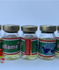 Thuốc Trị Tang Gà Đá INFLAME - Chuyên Trị Tang, Khò Khè Cực Tốt Ở Gà - 5Chai x 5ml chính hãng - Thuốc Gà Đá HCM