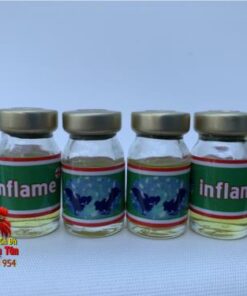 Thuốc Trị Tang Gà Đá INFLAME - Chuyên Trị Tang, Khò Khè Cực Tốt Ở Gà - 10Chai x 5ml chính hãng - Thuốc Gà Đá HCM